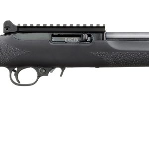 RUGER 10/22 CARBINE 22LR BL/HOGUE