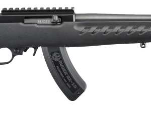 RUGER CHARGER 22LR BL/SY 15+1 TB