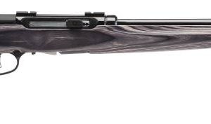 SAVAGE ARMS A17 TARGET 17HMR BL/LAM 22"