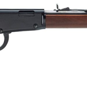 HENRY REPEATING ARMS LEVER ACT 22MAG BL/WD OCTAGON