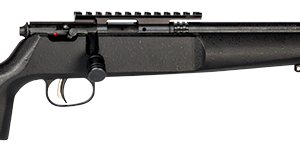 SAVAGE ARMS RASCAL TARGET 22LR CMPT BLACK