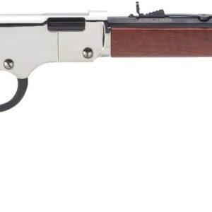 HENRY REPEATING ARMS GOLDEN BOY SILVER LEVER 17HMR