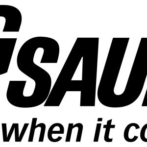 SIG SAUER P365 9MM NIT 10+1 XRAY ROM-RS