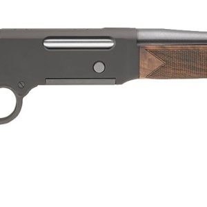 HENRY REPEATING ARMS LONG RANGER 223REM OPEN SIGHTS